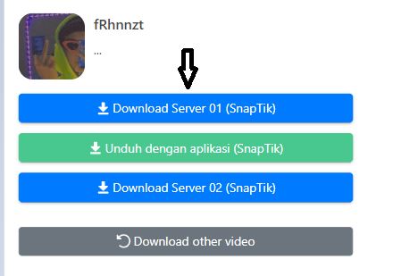 download_video_tiktok_snaptik