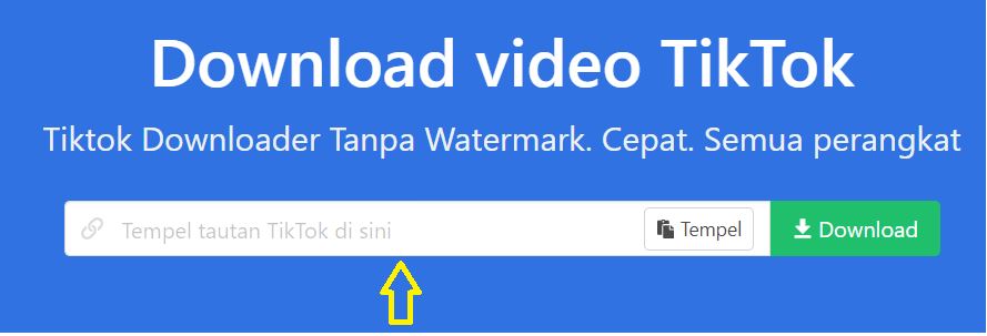 paste_link_tiktok_snaptik