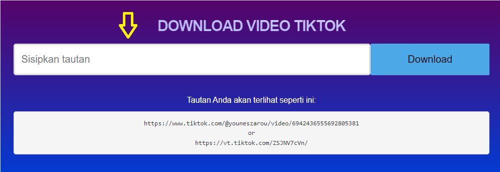 ssstiktok_tiktok_donwloader