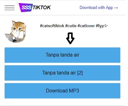 ssstiktok_donwload_link