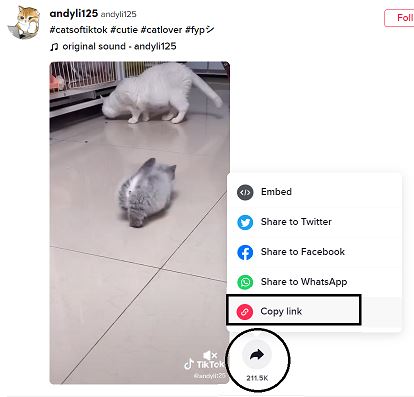 tiktokweb_share_link