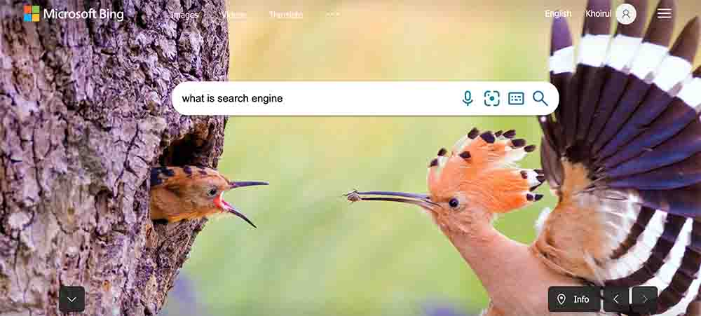 bing-search-engine-google-alternative
