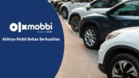 olxmobbi-banner-blue